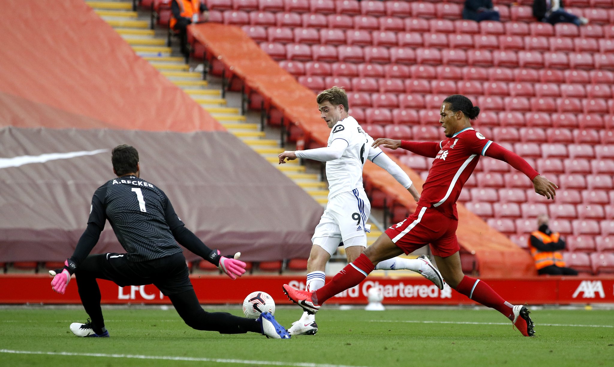 成功预测的 成功预测的